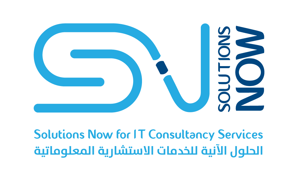 Solutions Now for IT Consultancy Services logo